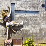 Arquiteturas do Corpo Costa Rica (12)