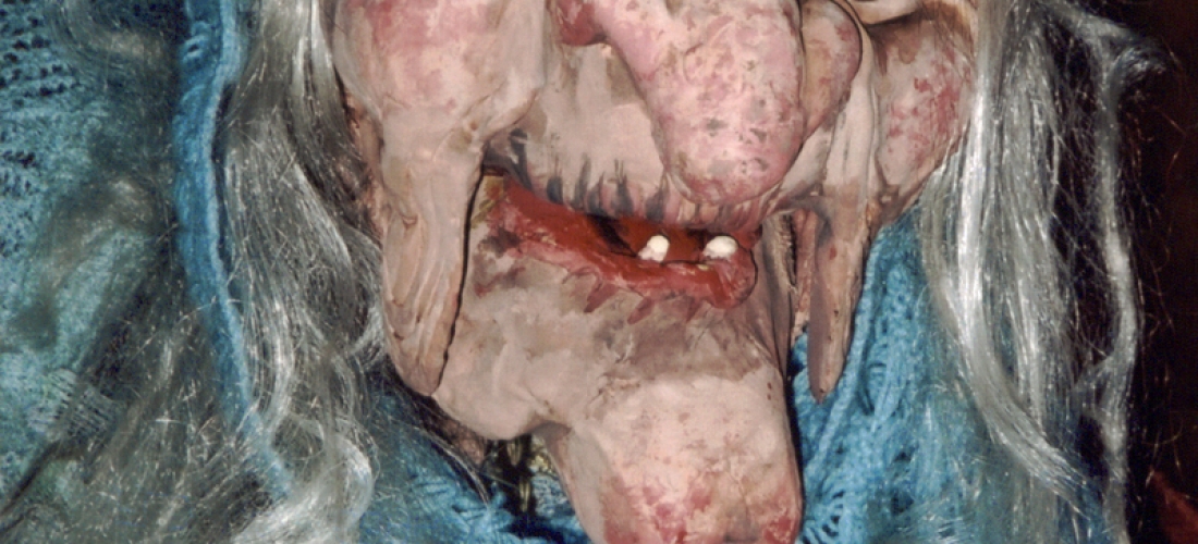 A Folia do Homem Diabo (2005)