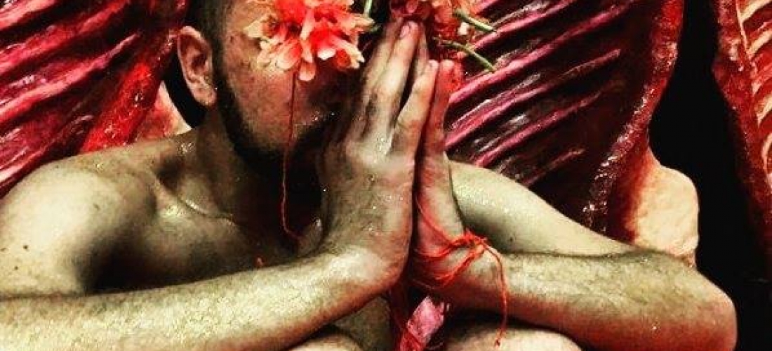 Anatomia do Fauno (12)
