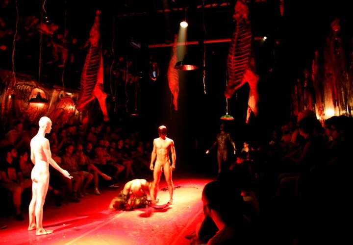 Anatomia do Fauno (8)