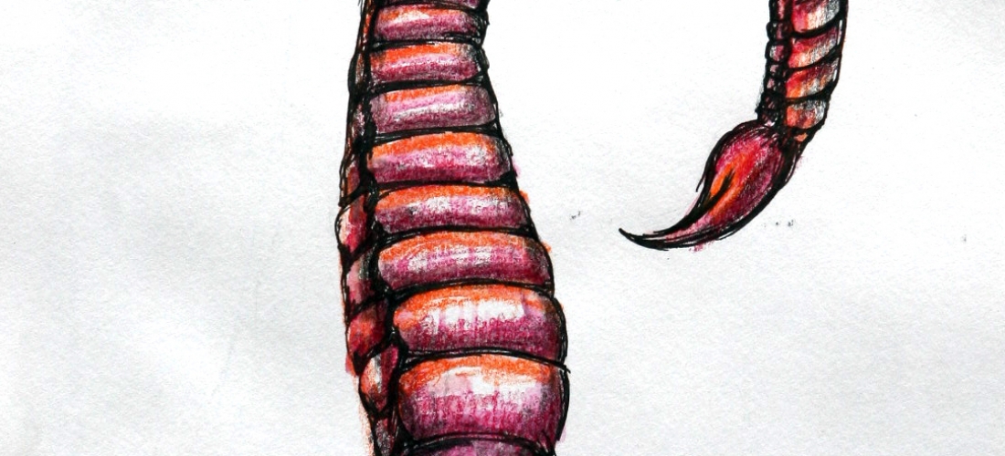 Devorando Antigona (2004) 05