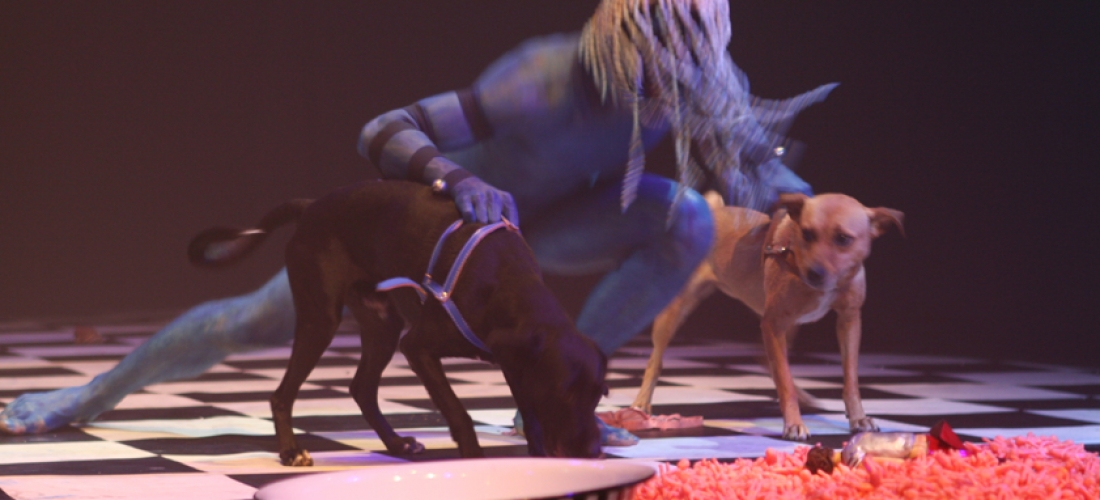 Devorando Quixote (2007) 07