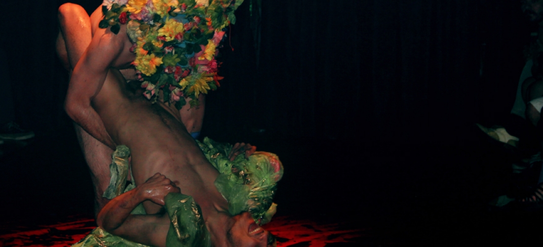 Anatomia do Fauno (1)