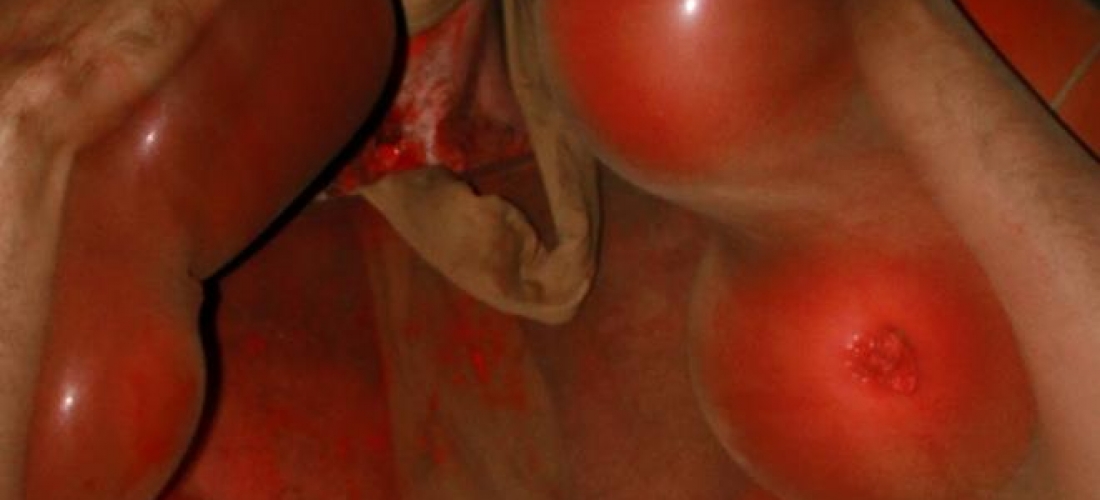 Anatomia do Fauno (4)