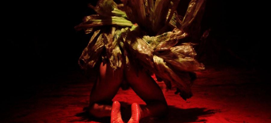 Anatomia do Fauno (6)