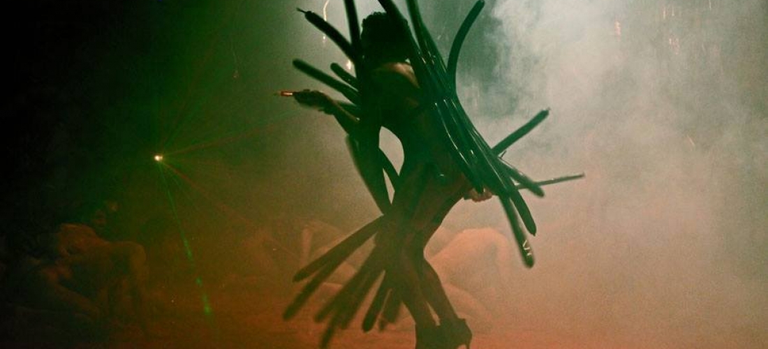 Anatomia do Fauno (7)