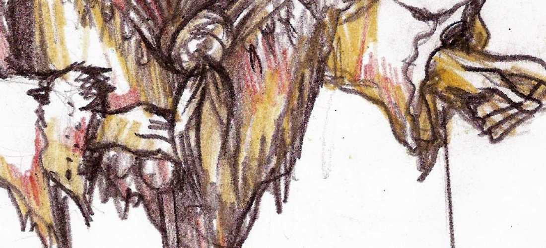 Folia do Homem Diabo (2005) 08