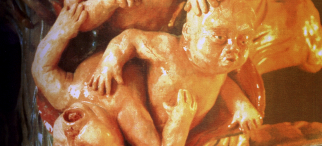 Mãe Biomecânica (1996)