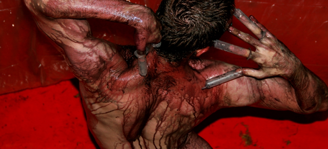 Anatomia do Fauno (1)