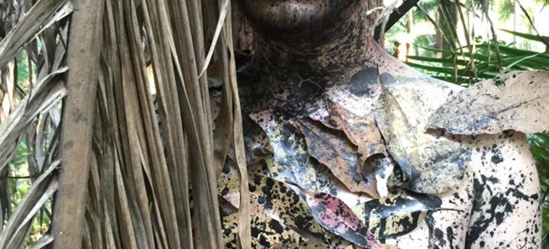 Anatomia do Fauno (2)