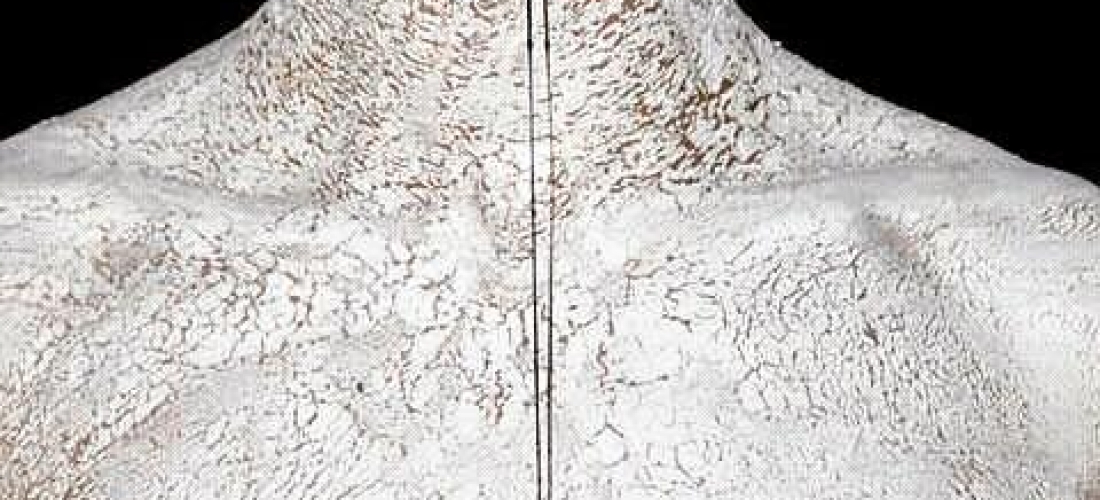 Anatomia do Fauno (4)