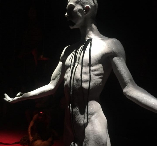 Anatomia do Fauno (8)