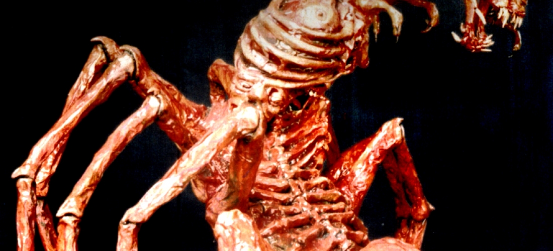 Metamorphosis (1996)