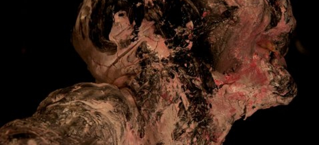 Metamorphosis (2011) 01