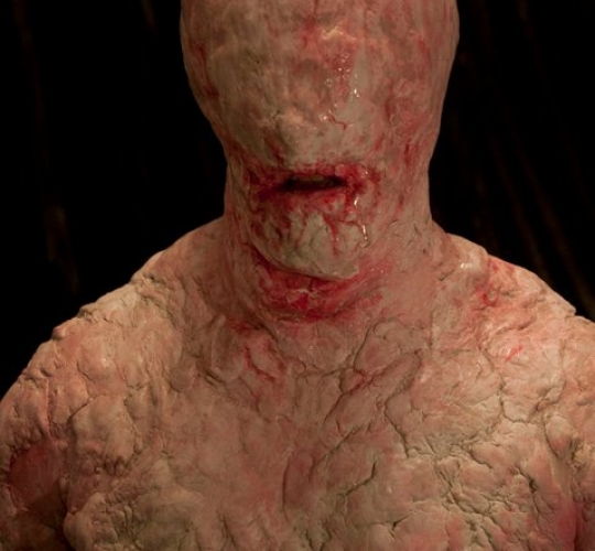 Metamorphosis (2011) 04