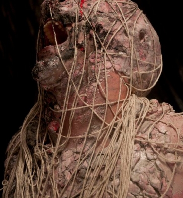 Metarmophosis (2010) 01