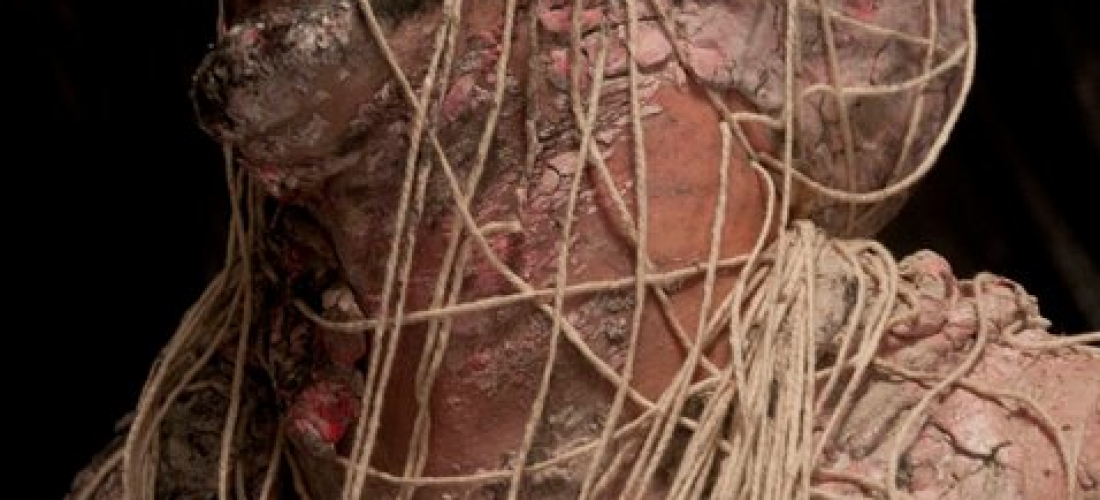 Metarmophosis (2010) 01