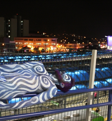 Performance Urbana Segunda Pele (2014) 06