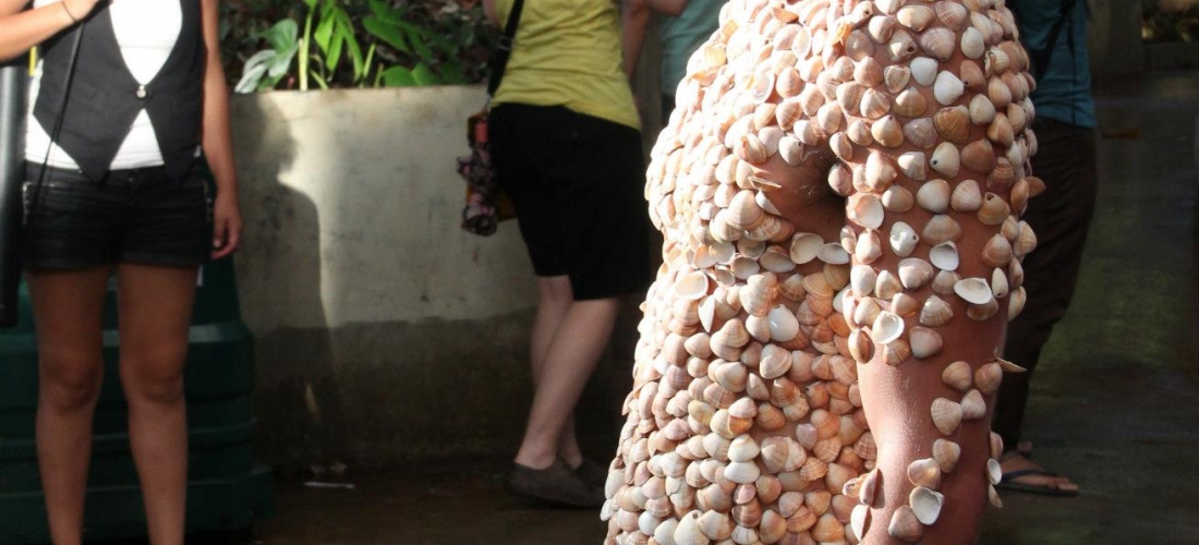 Performance Urbana Segunda Pele – Hemispheric Institute Enconter (2013) 02