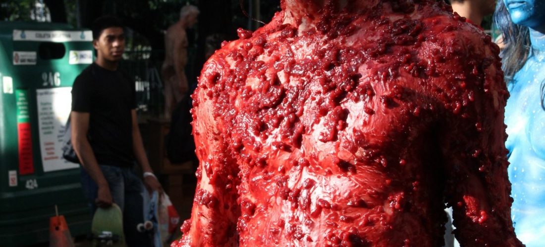 Performance Urbana Segunda Pele – Hemispheric Institute Enconter (2013) 05