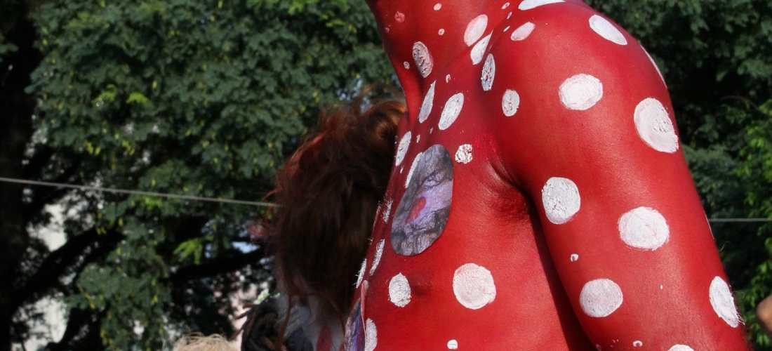 Performance Urbana Segunda Pele – Hemispheric Institute Enconter (2013) 06