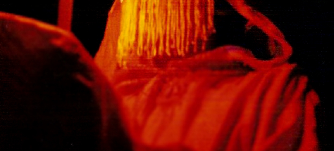 Saganarello O corno Imaginário (1995) 03