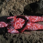 Devorando Fausto (2006) 01