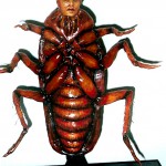 Gregor Sanza Barata (2003) 02