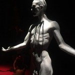 Maquiagem Anatomia do Fauno (8)