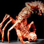 Metamorphosis (1996)