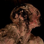 Metamorphosis (2011) 01