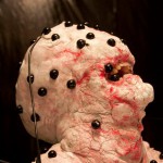 Metamorphosis (2011) 02