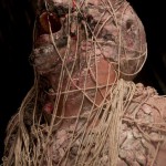 Metarmophosis (2010) 01