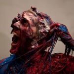 Metarmophosis (2010) 02