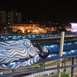 Performance Urbana Segunda Pele (2014) 06